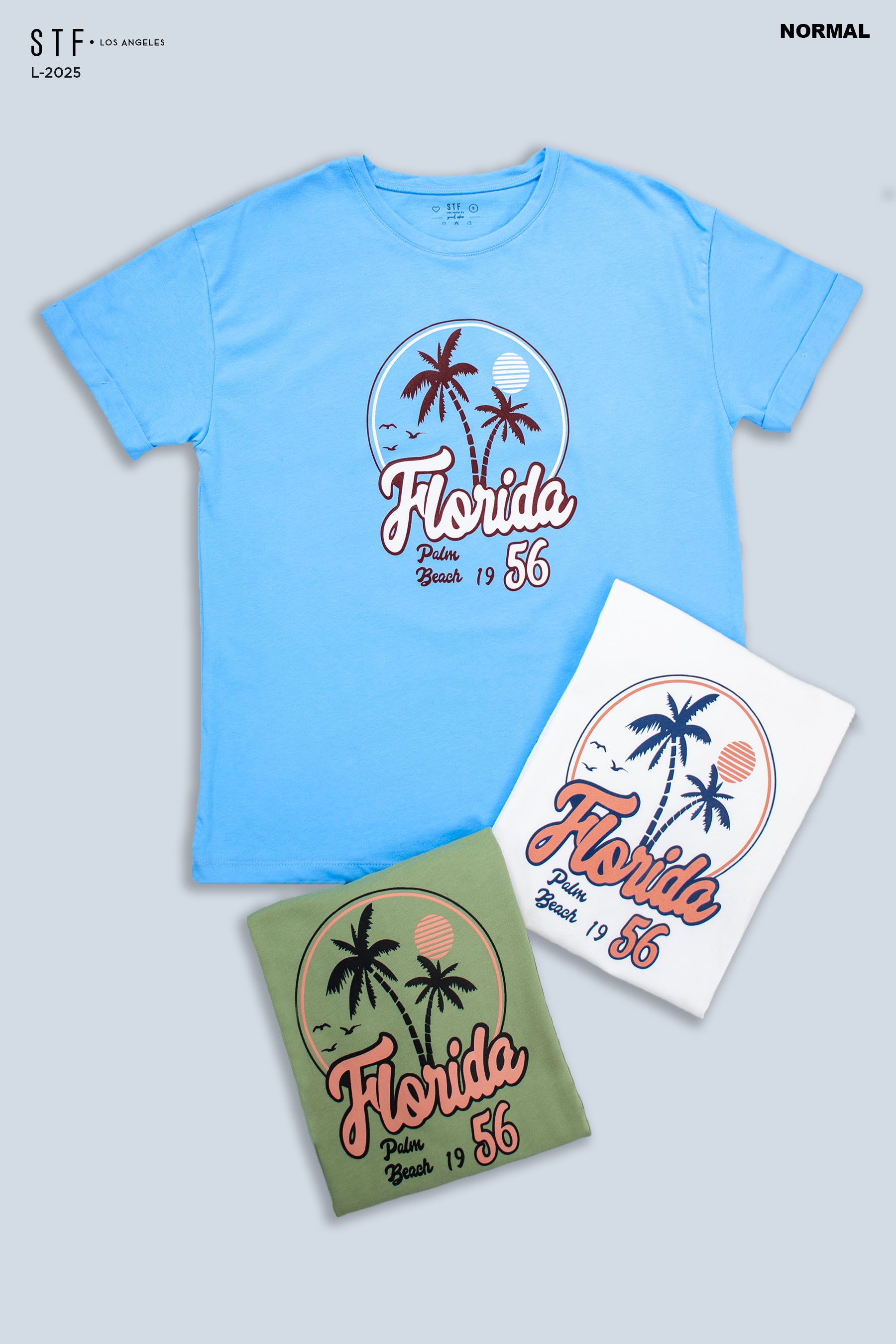 Camiseta Oversize L-2025