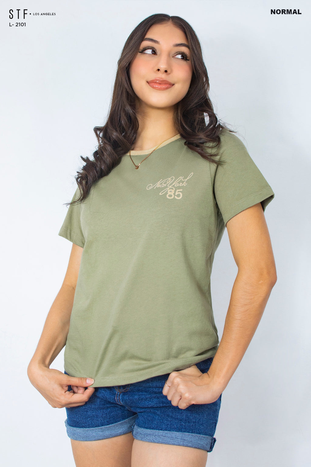 Camiseta Normal L-2101