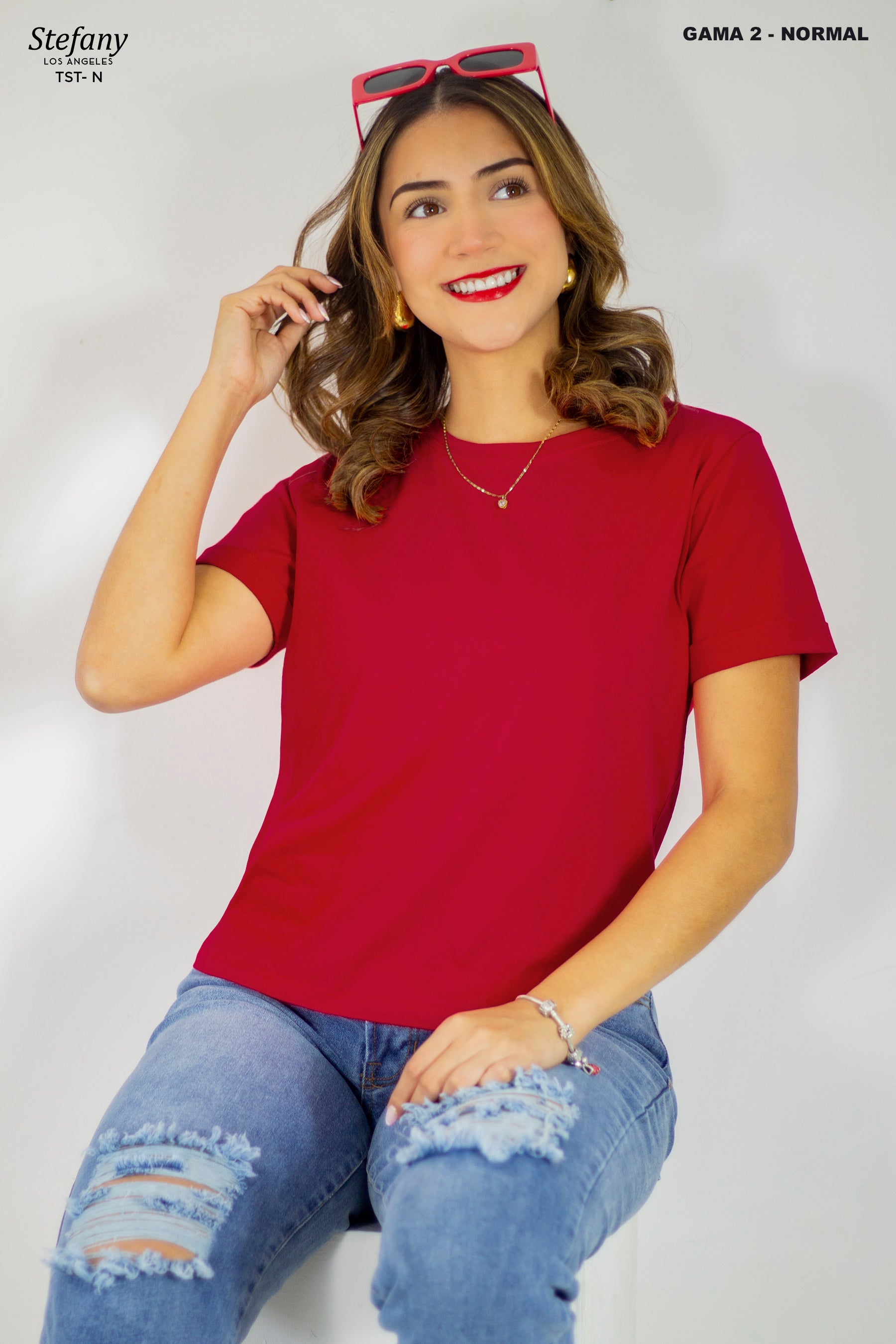 Camisa Básica Normal TST-N GAMA 2